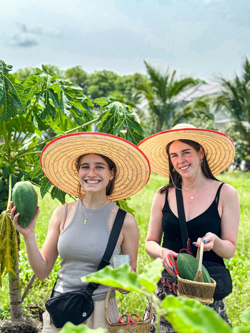 Guests harvesting fresh produce at the Baan Farm organic garden